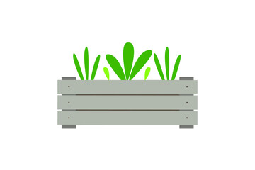 Wooden box with seedlings. Isolate on a white background Vector illustration.