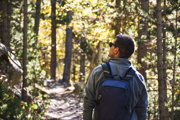 Male backpacker walking through a wooded forest, back view. - obrazy, fototapety, plakaty