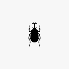 bug icon. bug vector icon on white background