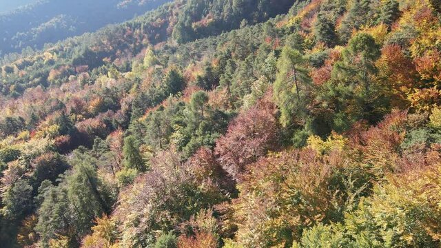 Foiage autunnale in Alto Adige