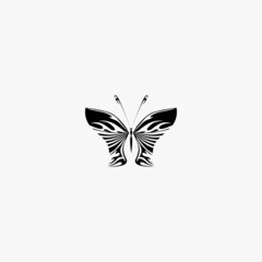 butterfly icon. butterfly vector icon on white background