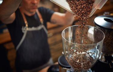 A barmen is pouring roasted coffee beans into the grinder apparatus. Coffee, beverage, producing