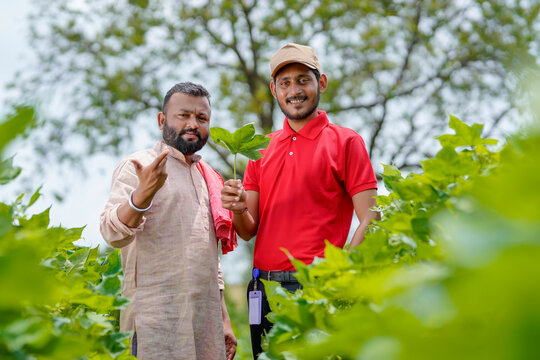 Indian agronomist or officer discussing with farmer at green cotton agriculture field.
