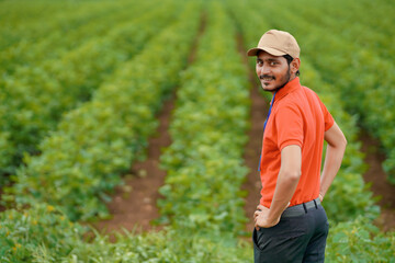 Young indian agronomist or officer standing at agriculture field.