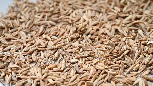 angle pan herb ZiRan or Cuminum Cyminum or Cumin