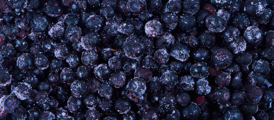 Frozen berries black currant, blueberry background