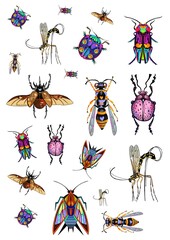 set of insects 