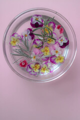 Flower and plants concept.Colorful flowers and plants in a glass bowl with water. Beauty concept,women concept.