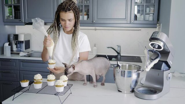 Brunette young woman decorates delicious muffins with whipped cream and foxlike Sphinx cat eats dessert standing on table in stylish kitchen at home