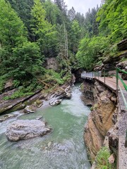 fluss, wasser, natur,