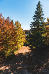 landscape view of autumn carpathian mountains