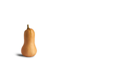 Butternut squash on a white background. The pumpkin is located in the lower left corner. Front view