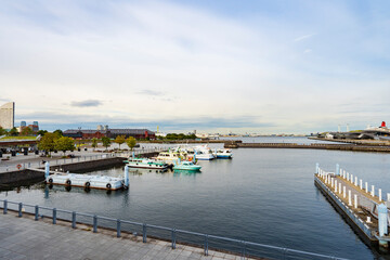 Fototapeta premium 【横浜港】象の鼻パーク