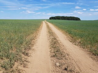 Country dirt road in the field