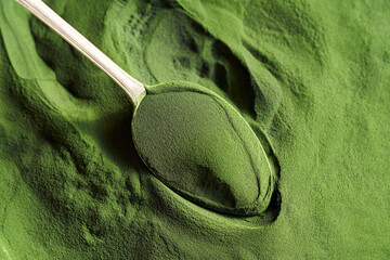 Green chlorella algae powder