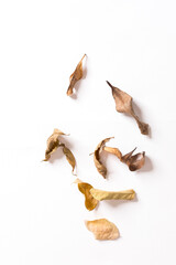 Fototapeta premium Many dried leaves isolated on white background.