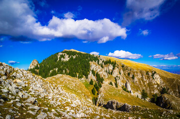 Autumn in Buila Vanturarita National Park, Carpathian Mountains, Romania. Vivid fall colors in forest. Colorful Autumn Leaves. Green, yellow, orange, red.