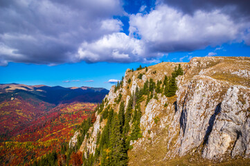 Autumn in Buila Vanturarita National Park, Carpathian Mountains, Romania. Vivid fall colors in forest. Colorful Autumn Leaves. Green, yellow, orange, red.