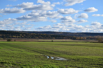 Fototapeta na wymiar A field after the harvest in autumn, Montmagny, Québec, Canada