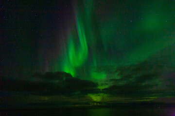 Polarlicht, Nordlicht, Aurora borealis im September auf den Lofoten