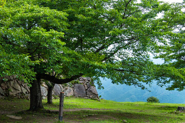 夏の城跡の風景