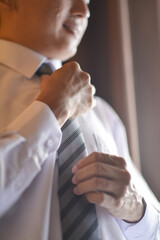 Fototapeta premium Wedding Suit, Wrist, Head, Mouth, Neck, Button, Tie, Nail, Shoes