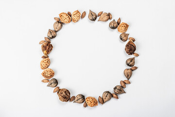 Wreath or Frame from Juglans cordiformis Maxim or heart-shaped walnut isolated on white background