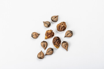 Ripe Juglans cordiformis Maxim or heart-shaped walnut isolated on white background