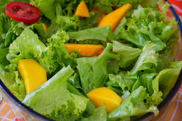 colorful lettuce, tomato and mango salad