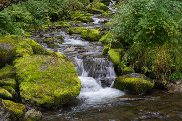 Naklejka na ściany i meble Cascading down a small mountain stream, the water runs over basalt boulders. A small waterfall runs through the moss.