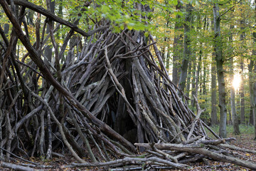 Old destroyed wooden shelter in a deciduous forest in Germany in autumn time during sunset with...