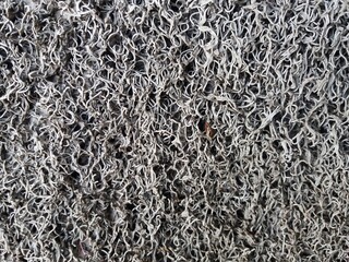 Wall texture