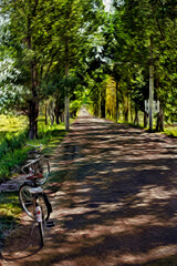 Fototapeta na wymiar Country road with a bicycle and trees in Nepal