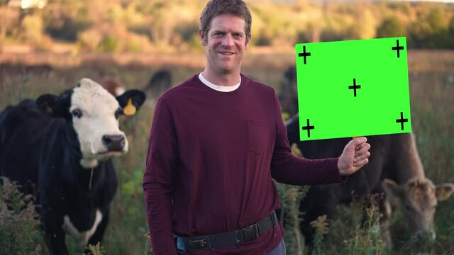 Smiling farmer man holding green screen chroma key sign surrounded by cows in a pasture.