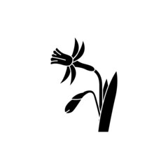 Narcissus olor line icon. Essential oils. Pictogram for web page, mobile app, promo.