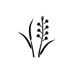 Tuberose olor line icon. Essential oils. Pictogram for web page, mobile app, promo.