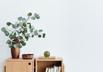 Modern composition of living room interior with design wooden bookcase, eucalyptus leaf in vase,...