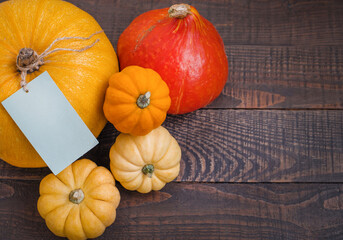 Pumpkins for sale with a blank price tag.