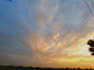 Beautiful sunset in the field