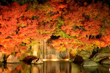 【兵庫県】姫路市・好古園の紅葉