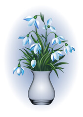 Snowdrop flowers in vase