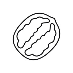 Walnut outline, vector icon, walnut in cut