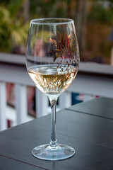 Relaxing Evening on the Deck