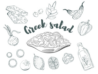 Greek Salad served on plates with ingridients hand drawn with contour lines on white background