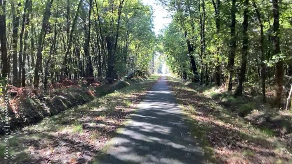 Canvas Prints Piste cyclable dans le Médoc en automne, Gironde