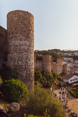 Fototapeta premium castle in the city