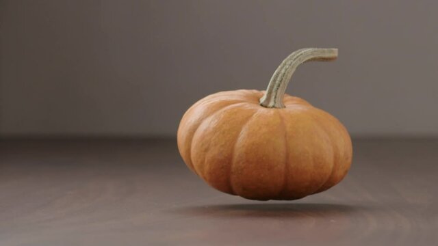 Slow motion small orange pumpkin fall in frame on walnut table with copy space