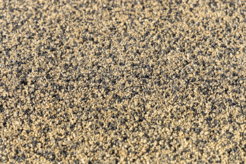 Rubber crumb coating. Non-traumatic rubber covering for a children's or sports ground, close-up. Grains of rubber. Selected focus