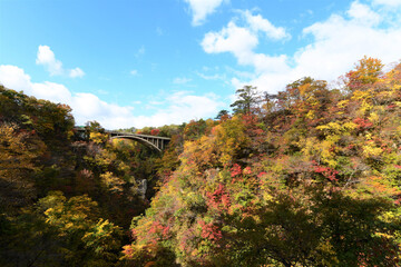 鳴子狭　2021年10月29日
宮城の紅葉名所