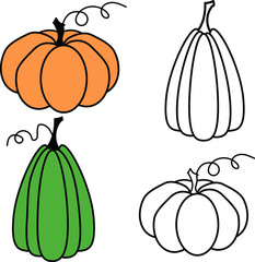 seasonal produce fresh orange green pumpkin organic healthy vegetarian vegetables vector